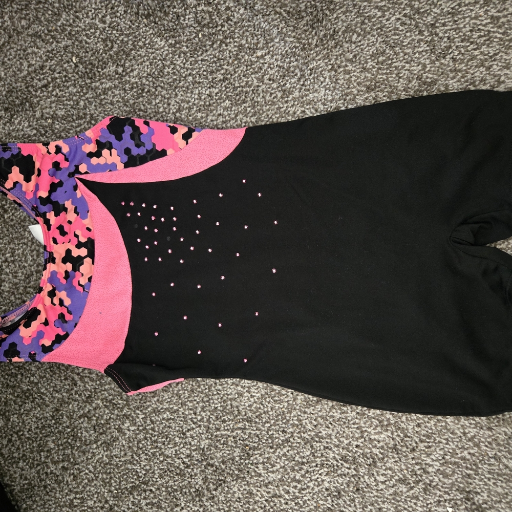 Danskin Pink and Purple Freestyle Leotard